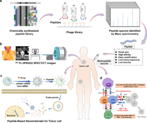 Therapeutic Peptides: Revolutionizing Modern Medicine