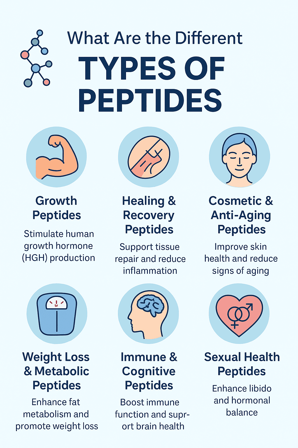 What are the different types of peptides?
